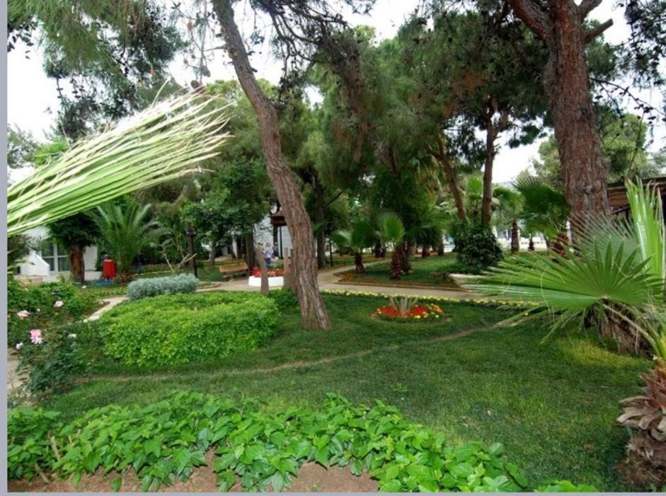 Luca Beach Hotel Σιντέ Εξωτερικό φωτογραφία